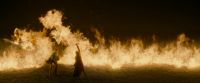 EdP-Potterish7493.jpg