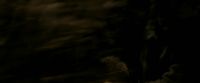 EdP-Potterish7509.jpg