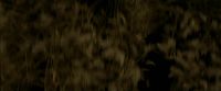 EdP-Potterish7511.jpg