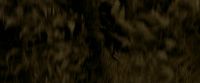 EdP-Potterish7512.jpg