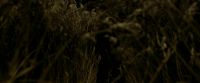 EdP-Potterish7513.jpg