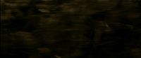 EdP-Potterish7515.jpg