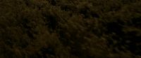 EdP-Potterish7518.jpg