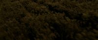 EdP-Potterish7519.jpg