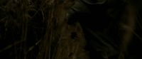 EdP-Potterish7520.jpg