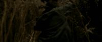 EdP-Potterish7521.jpg