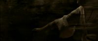 EdP-Potterish7523.jpg