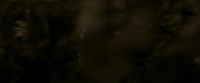 EdP-Potterish7525.jpg