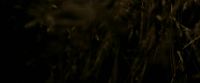 EdP-Potterish7530.jpg