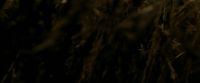 EdP-Potterish7531.jpg