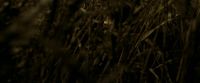 EdP-Potterish7532.jpg