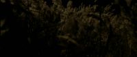 EdP-Potterish7537.jpg