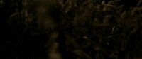 EdP-Potterish7538.jpg