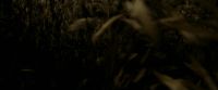 EdP-Potterish7539.jpg