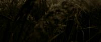 EdP-Potterish7541.jpg