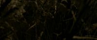 EdP-Potterish7543.jpg