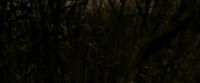 EdP-Potterish7546.jpg