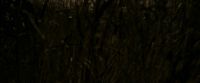 EdP-Potterish7547.jpg
