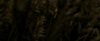 EdP-Potterish7548.jpg