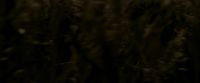 EdP-Potterish7549.jpg