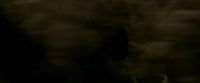EdP-Potterish7553.jpg
