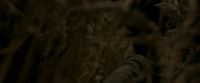 EdP-Potterish7554.jpg