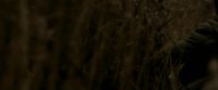 EdP-Potterish7555.jpg