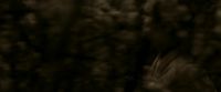 EdP-Potterish7558.jpg