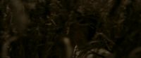 EdP-Potterish7559.jpg