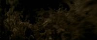 EdP-Potterish7560.jpg