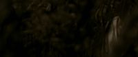 EdP-Potterish7562.jpg