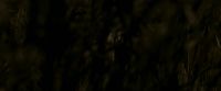 EdP-Potterish7563.jpg