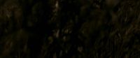 EdP-Potterish7564.jpg