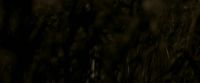 EdP-Potterish7565.jpg