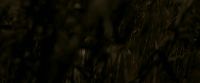 EdP-Potterish7566.jpg