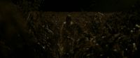 EdP-Potterish7572.jpg