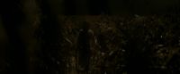 EdP-Potterish7573.jpg