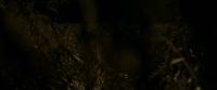 EdP-Potterish7575.jpg
