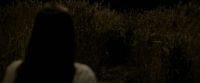 EdP-Potterish7581.jpg