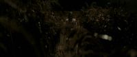 EdP-Potterish7583.jpg
