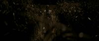 EdP-Potterish7585.jpg