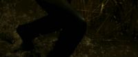 EdP-Potterish7598.jpg
