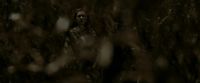 EdP-Potterish7619.jpg