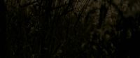 EdP-Potterish7629.jpg