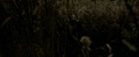 EdP-Potterish7630.jpg