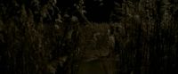 EdP-Potterish7636.jpg