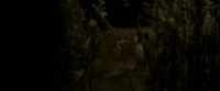 EdP-Potterish7638.jpg