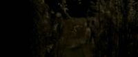 EdP-Potterish7639.jpg