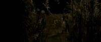 EdP-Potterish7640.jpg