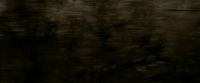 EdP-Potterish7644.jpg